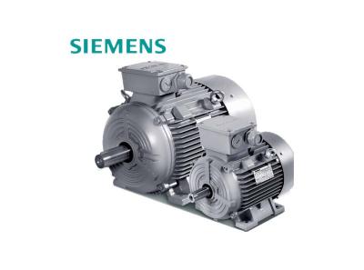 SIEMENS 1LE0 Low-voltage Motors