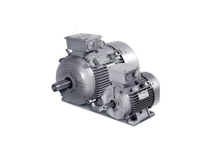 Low Voltage motors IE3 1LE0 series