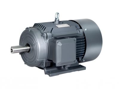 1TL0003 Cast Iron Series Grade 3 Energy Efﬁciency(China) Low-voltage Three-phase Asynchronous Motor