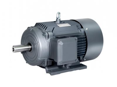 1TL0004 Cast Iron Series Grade 2 Energy Efﬁciency(China) Low-voltage Three-phase Asynchronous Motor