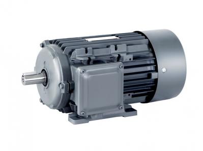 1TL0303 Aluminum Series Grade 3 Energy Efﬁciency(China) Low-voltage Three-phase Asynchronous Motor