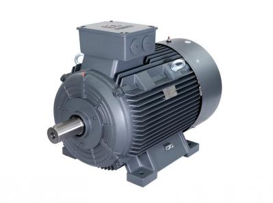 1MT0013 Series Dust Explosion-proof Grade 3 Energy Efﬁciency(China) Low Voltage Three-phase Asynchronous Motor