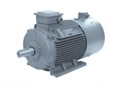 YVF2 Series Variable Speed Motors