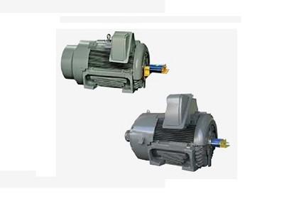 Ordinary efficiency motor GB3/IE3