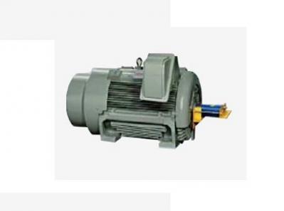 Variable frequency motor