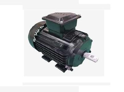 Permanent magnet motor