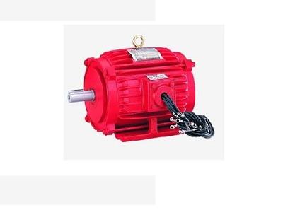 High-temperature smoke exhaust motor