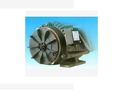 Brake motor